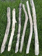 6 long chunkyDriftwood Pieces