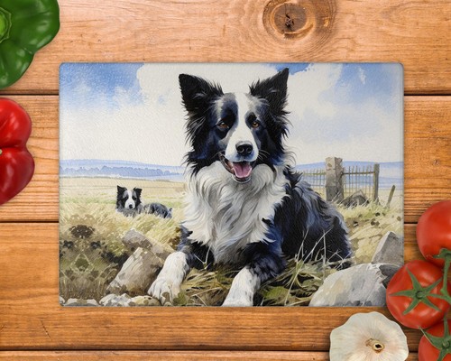 Border collie field landscape - collie,