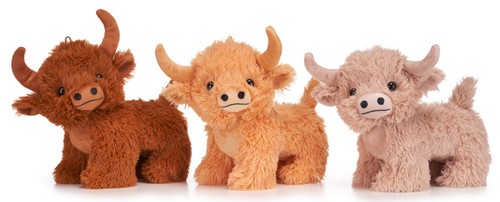 New official highland - official, cow