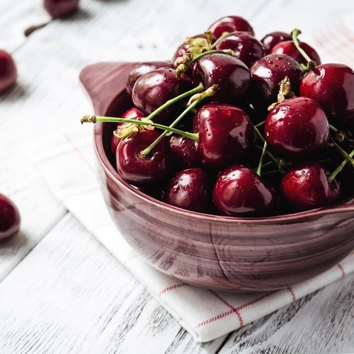 Cherry tree stella - tree, 'stella'
