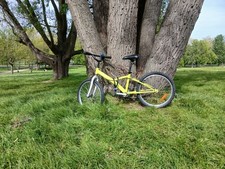 B Twin 20 Inch Kids 20"