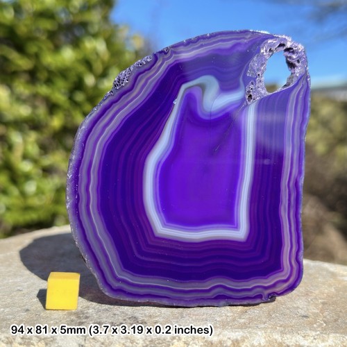 Agate slice inch - agate, banded