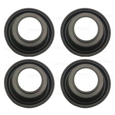 Carburetor Repair Kit