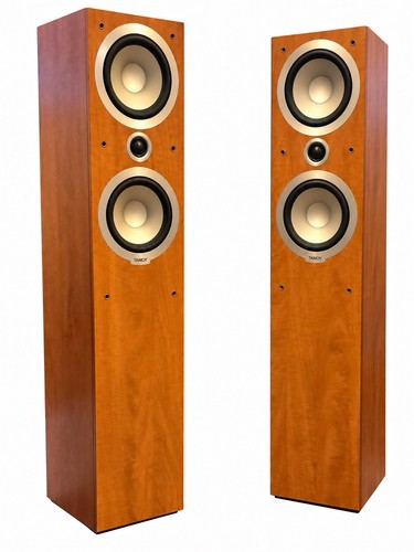 Tannoy mercury floor - tannoy,