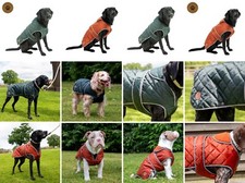 Quilted Dog Coat Ancol