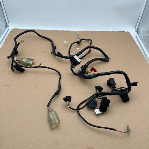 Honda cbr900 wiring harness - cbr900,