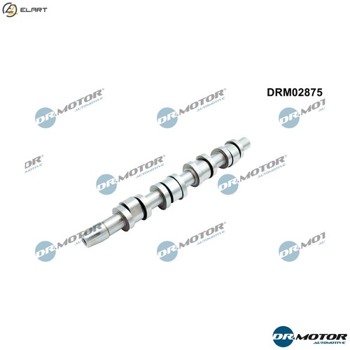 Camshaft drm02875 for - camshaft,