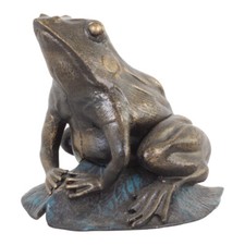 Lucky Frog On Lotus Leaf