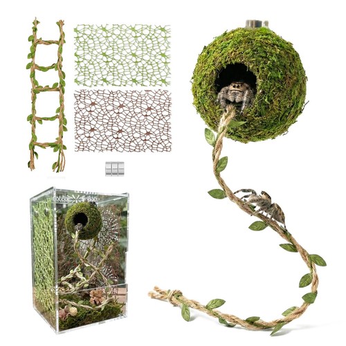 Magnetic jumping spider - magnetic,