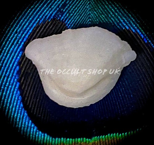 Rare fish pearl - matsya, mani