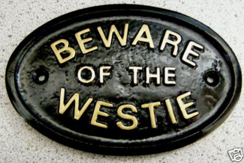 Westie beware west highland - westie,
