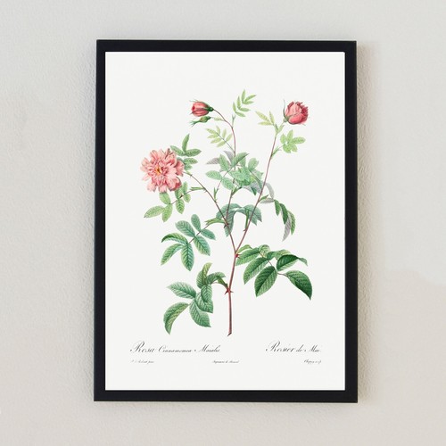 Vintage botanical flower - vintage,