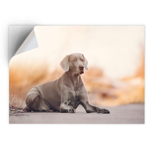 Vinyl sticker large - vinyl,
