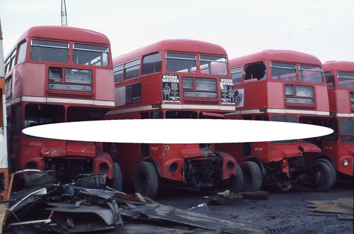 London transport bus colour - london,