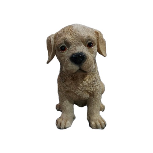 Golden labrador puppy - golden,