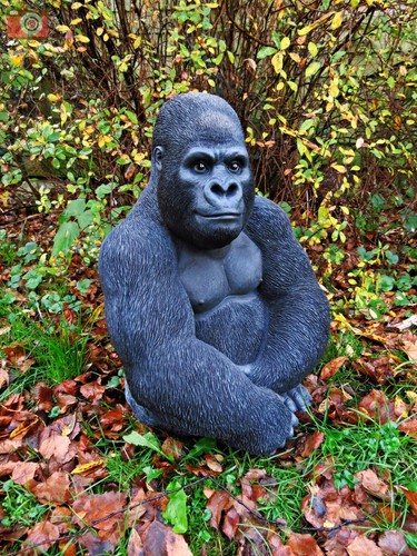 Silverback gorilla vivid - by,