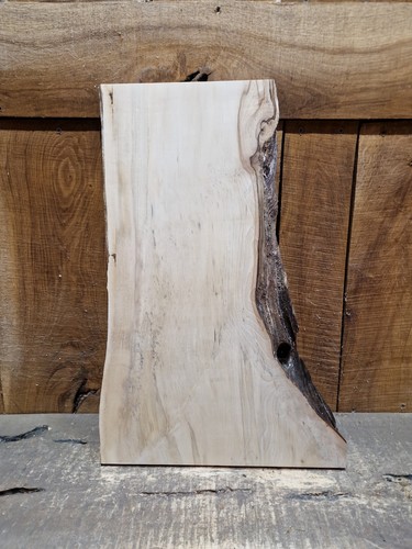 Live edge hornbeam slab - live,
