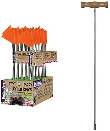 New mole run - new,