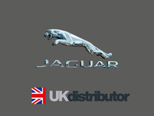 Chrome / Silver Jaguar Boot