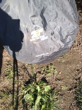 Quechua 3-Second Light Pop-Up Tent for 3 People