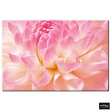 Floral Flowers BOTANICAL   BOX