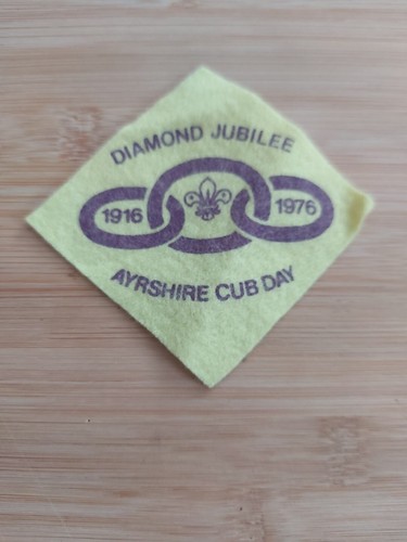 Scouting ayrshire cub day - ayrshire,