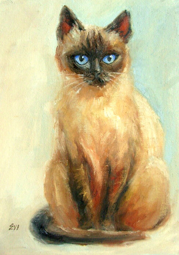 Siamese cat original oil - siamese,