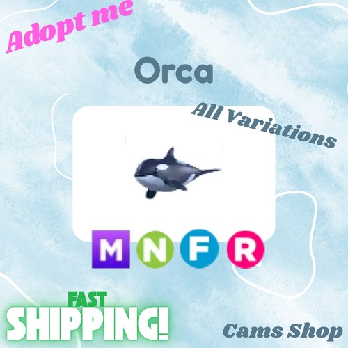 Orca all variations - orca, pot