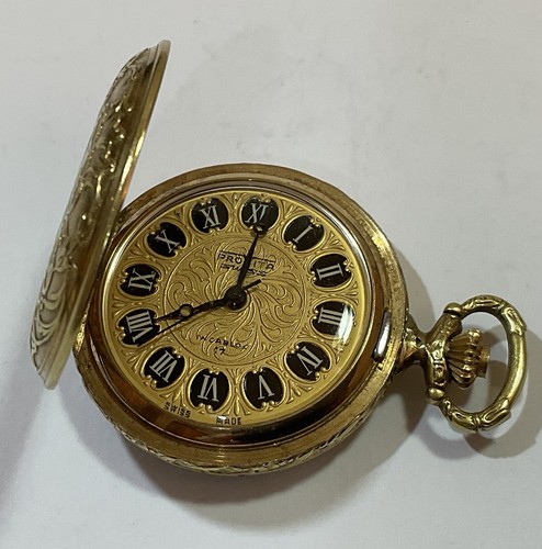 Provita swiss pocket pendant - swiss, pocket/pendant