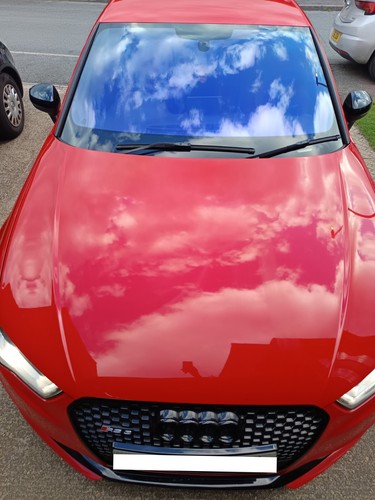 Chameleon tint real pictures - tint,