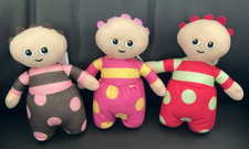 GOLDEN BEAR IN THE NIGHT