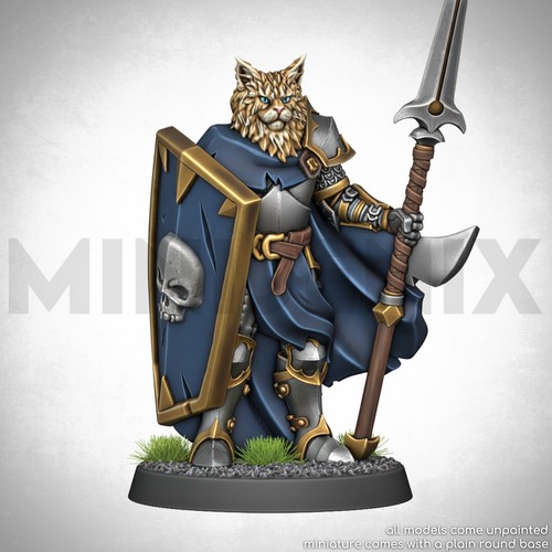 Cat tabaxi knight - knight, paladin