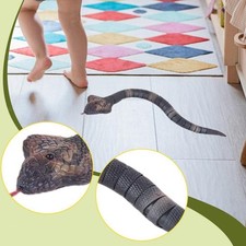 Remote Control Snake