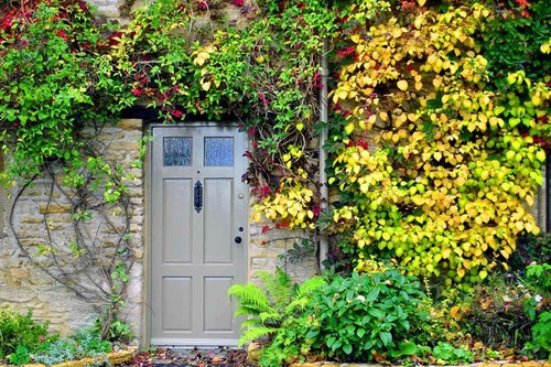 Cotswolds cottage house front - cotswolds,