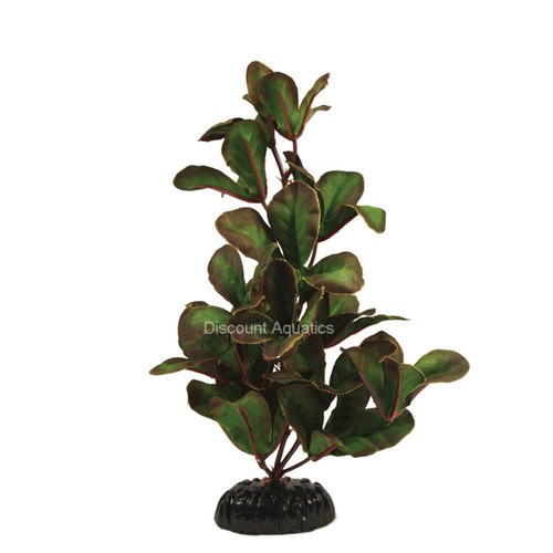 Ludwigia green silk aquarium - silk,