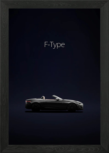 Jaguar type convertible - jaguar,