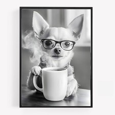 Funny kitchen chihuahua dog