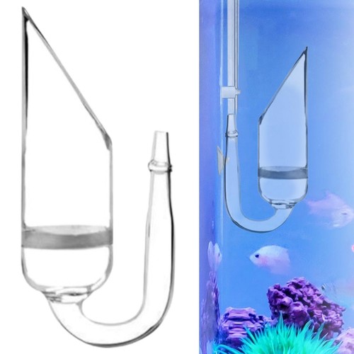 Aquarium co2 diffuser bubble - co2,