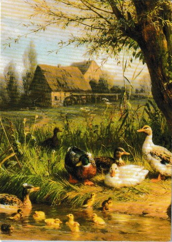 Carl jutz mallard ducks - jutz,