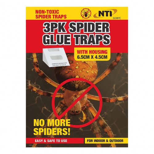 Spider glue traps - glue, indoor