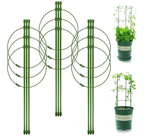 Pack tomato cage for pots - pack,