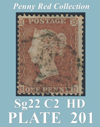 B65 sg22 c2 hd - -,
