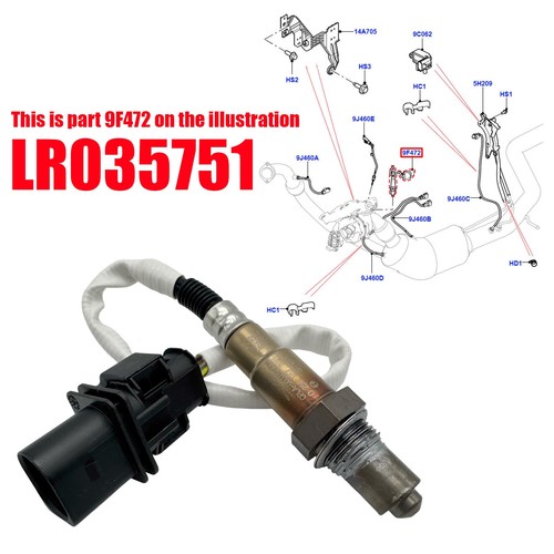 Oxygen sensor for land - oxygen,