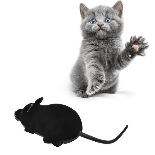 Funny remote control - control, animals