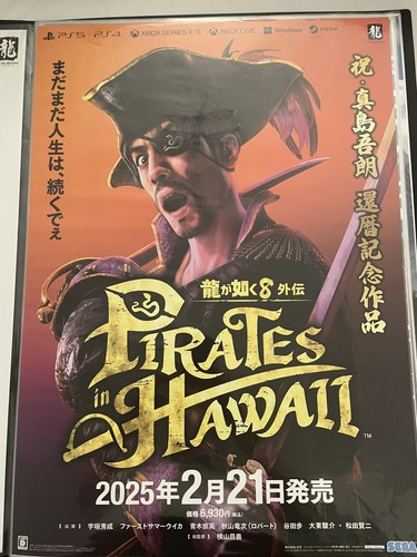 Like dragon pirate - pirate, in
