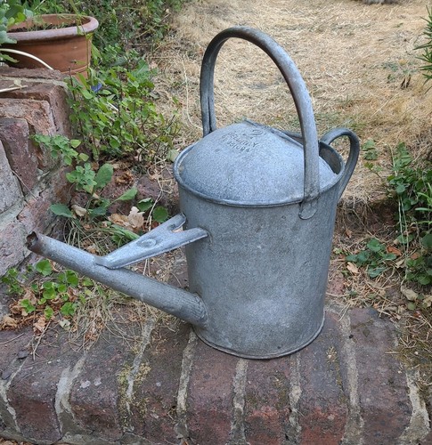 Vintage galvanised beldray - galvanised,