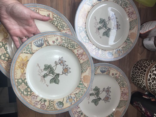 Wedgwood garden maze plates - garden,