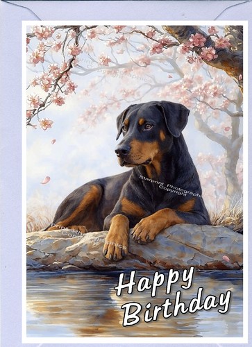 Dobermann dog birthday card - dobermann,