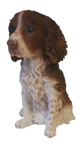 Vivid arts springer spaniel - vivid,