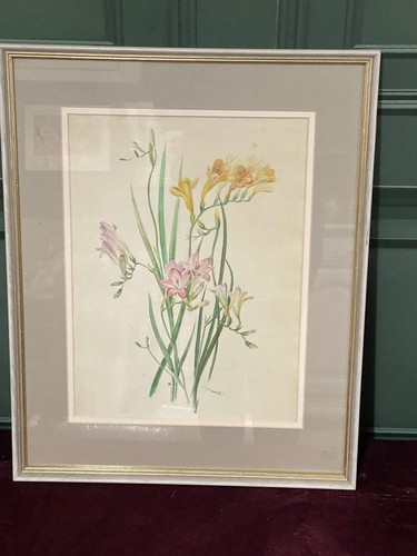 Framed watercolour painting - framed,